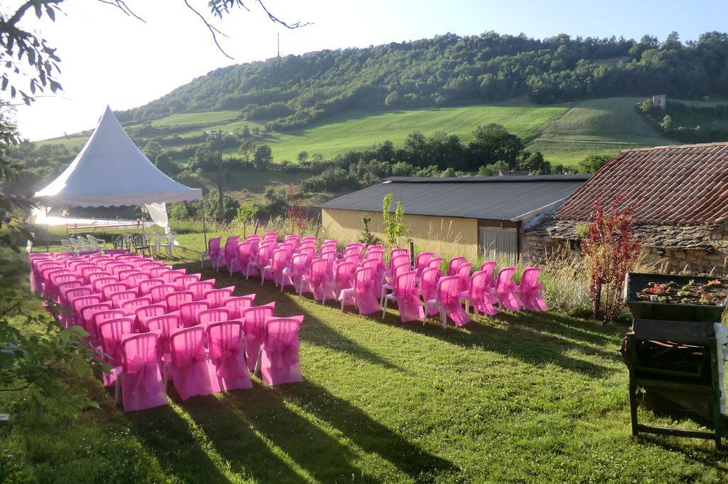 Saint-Jean-dʼAlcapiès Domaine D'Alcapies Bed & Breakfast エクステリア 写真
