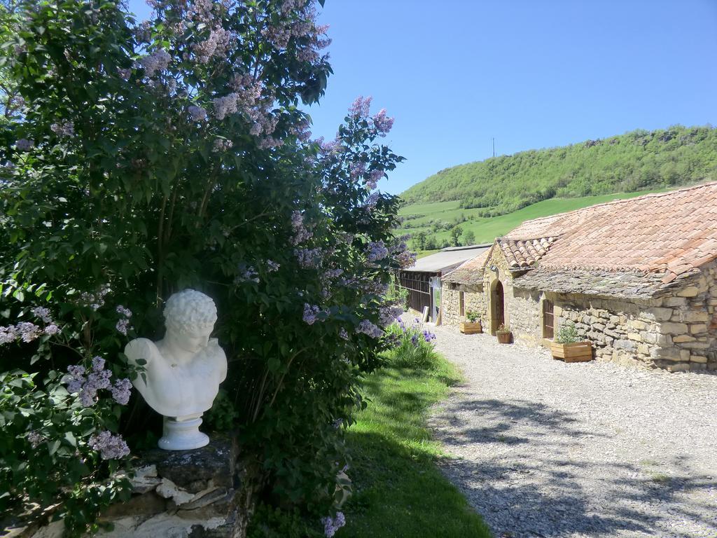 Saint-Jean-dʼAlcapiès Domaine D'Alcapies Bed & Breakfast エクステリア 写真