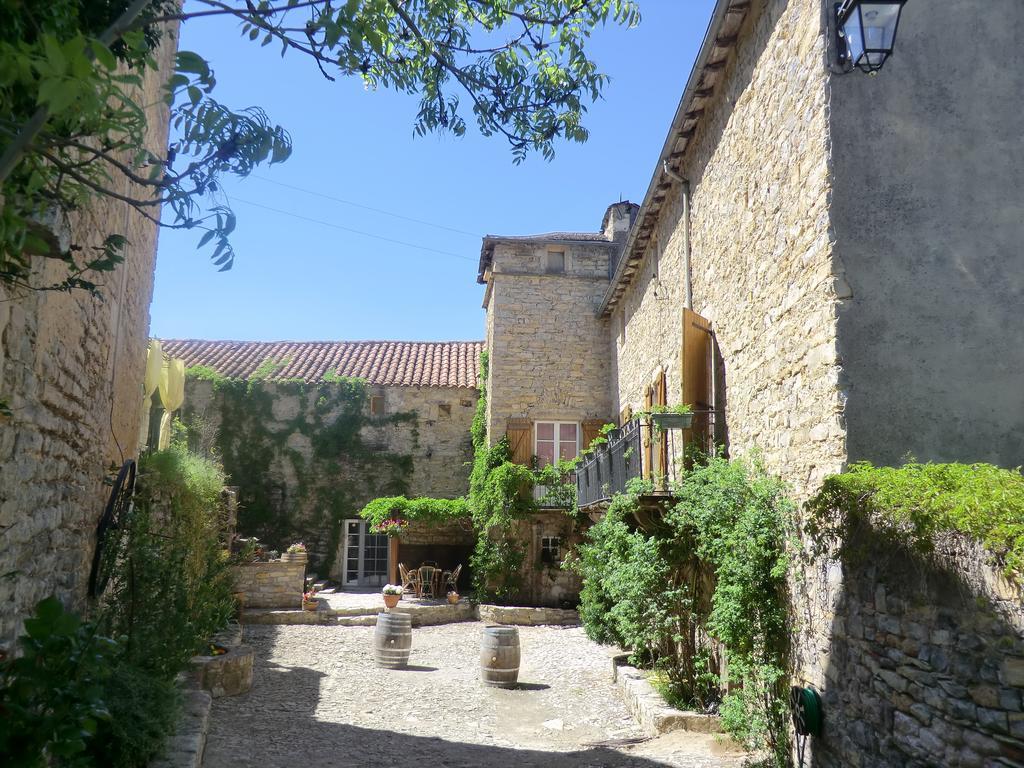 Saint-Jean-dʼAlcapiès Domaine D'Alcapies Bed & Breakfast エクステリア 写真