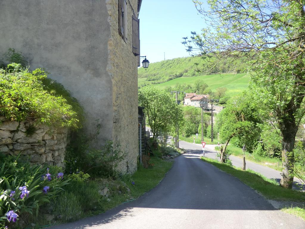 Saint-Jean-dʼAlcapiès Domaine D'Alcapies Bed & Breakfast エクステリア 写真