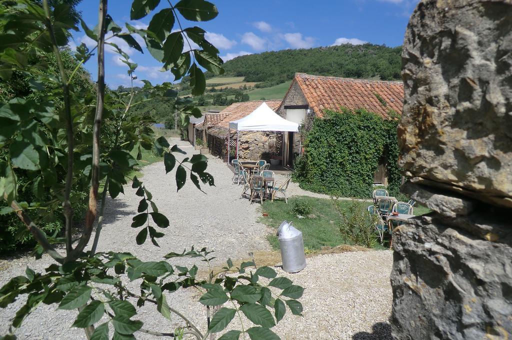 Saint-Jean-dʼAlcapiès Domaine D'Alcapies Bed & Breakfast エクステリア 写真