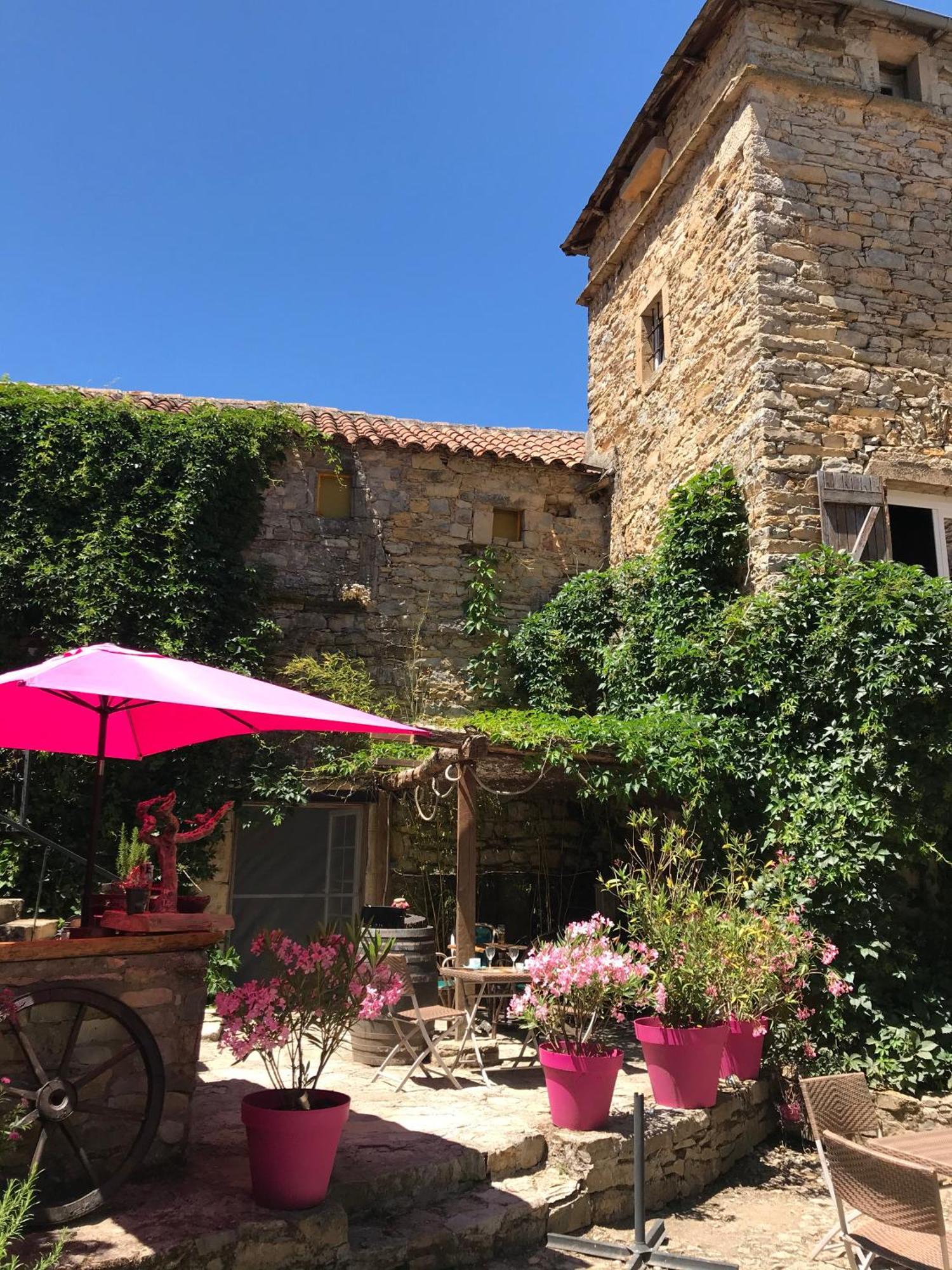 Saint-Jean-dʼAlcapiès Domaine D'Alcapies Bed & Breakfast エクステリア 写真