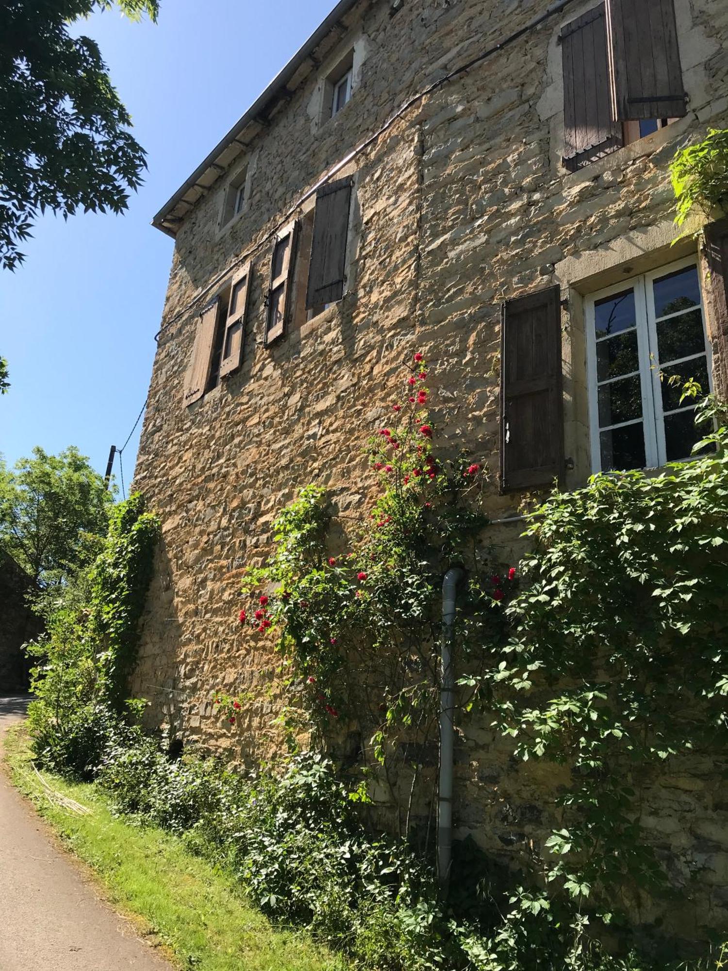 Saint-Jean-dʼAlcapiès Domaine D'Alcapies Bed & Breakfast エクステリア 写真