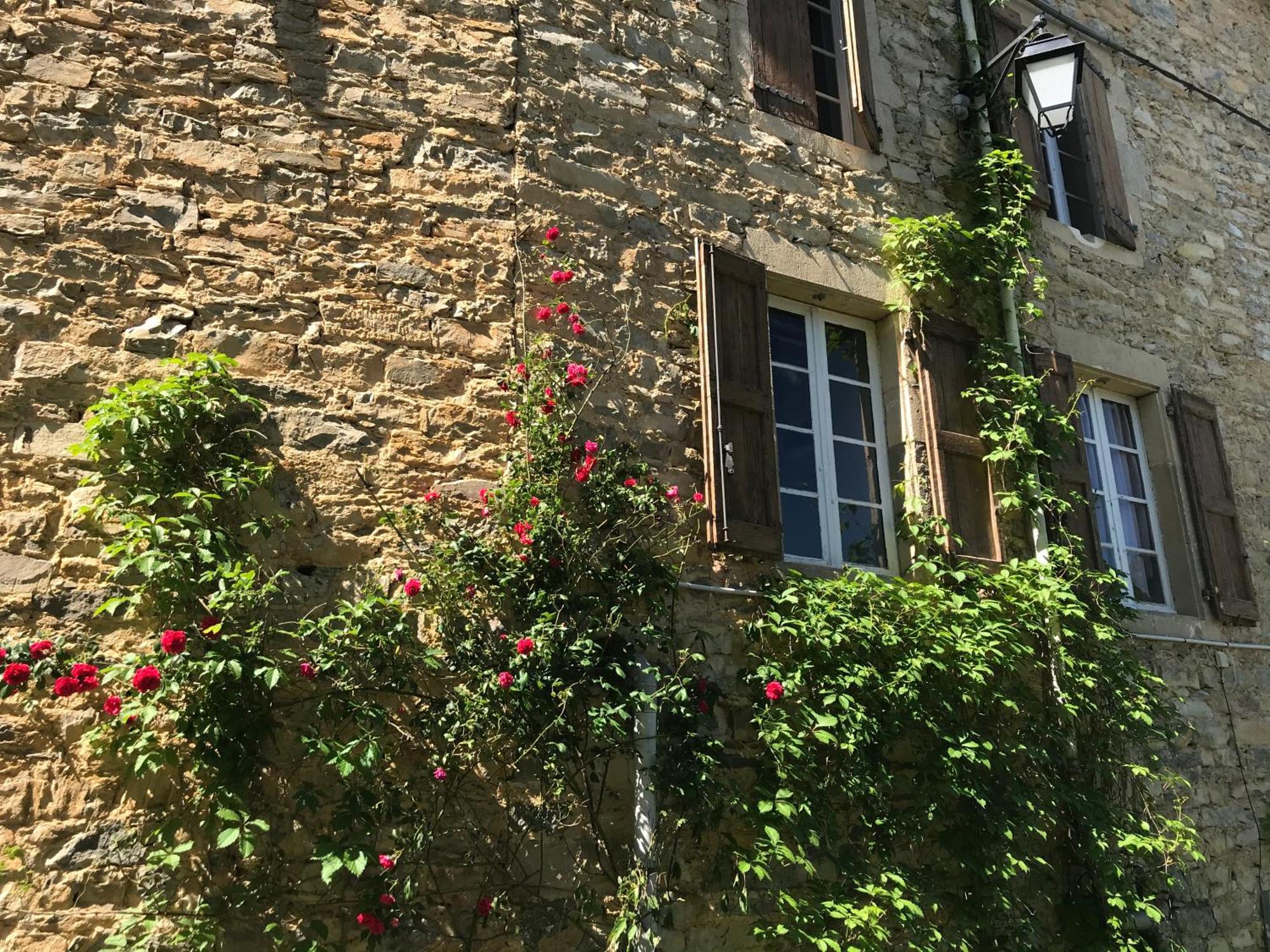 Saint-Jean-dʼAlcapiès Domaine D'Alcapies Bed & Breakfast エクステリア 写真