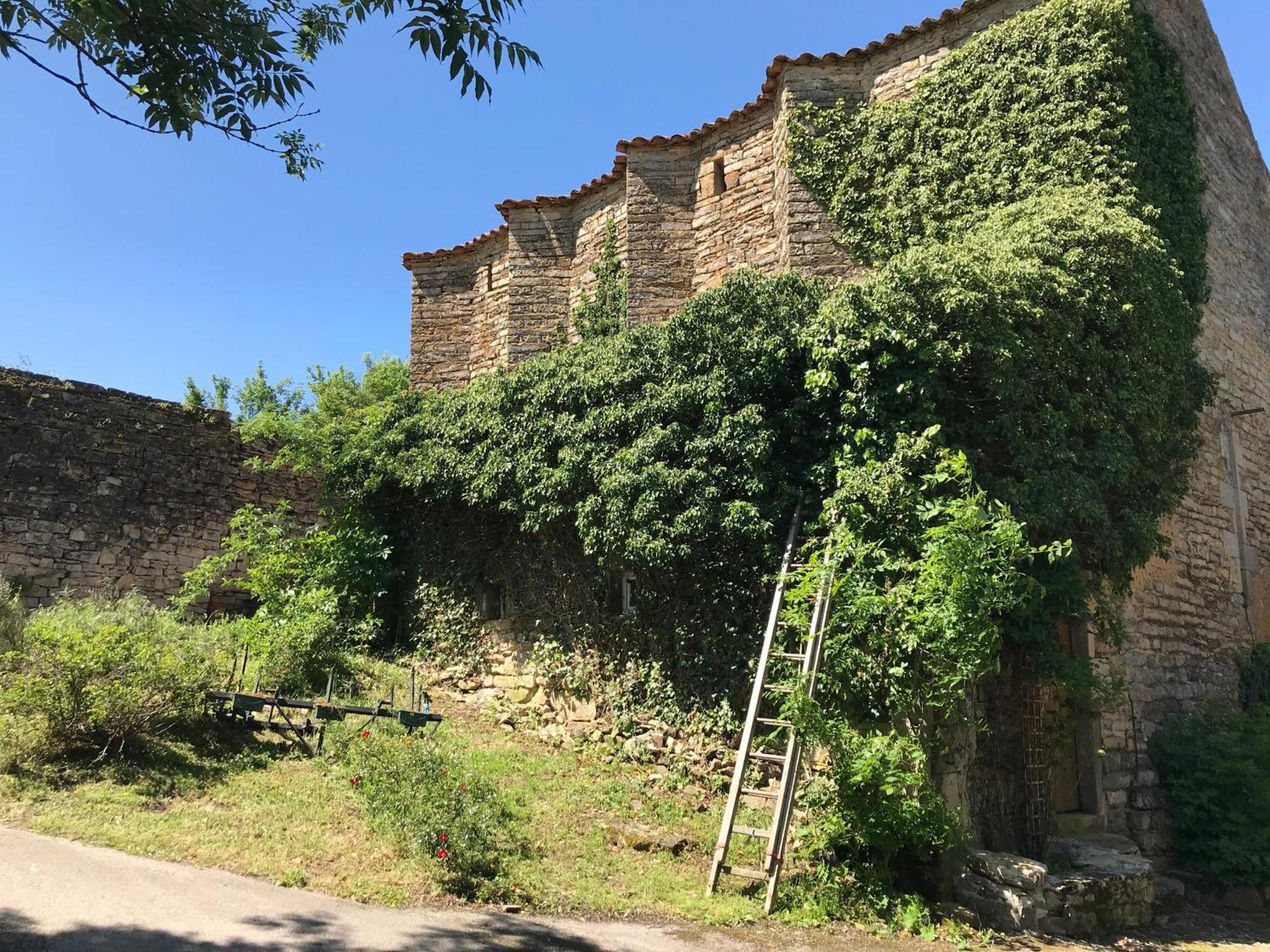 Saint-Jean-dʼAlcapiès Domaine D'Alcapies Bed & Breakfast エクステリア 写真