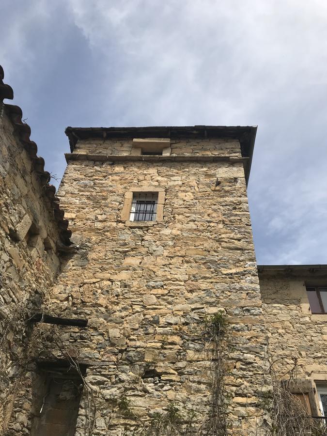 Saint-Jean-dʼAlcapiès Domaine D'Alcapies Bed & Breakfast エクステリア 写真